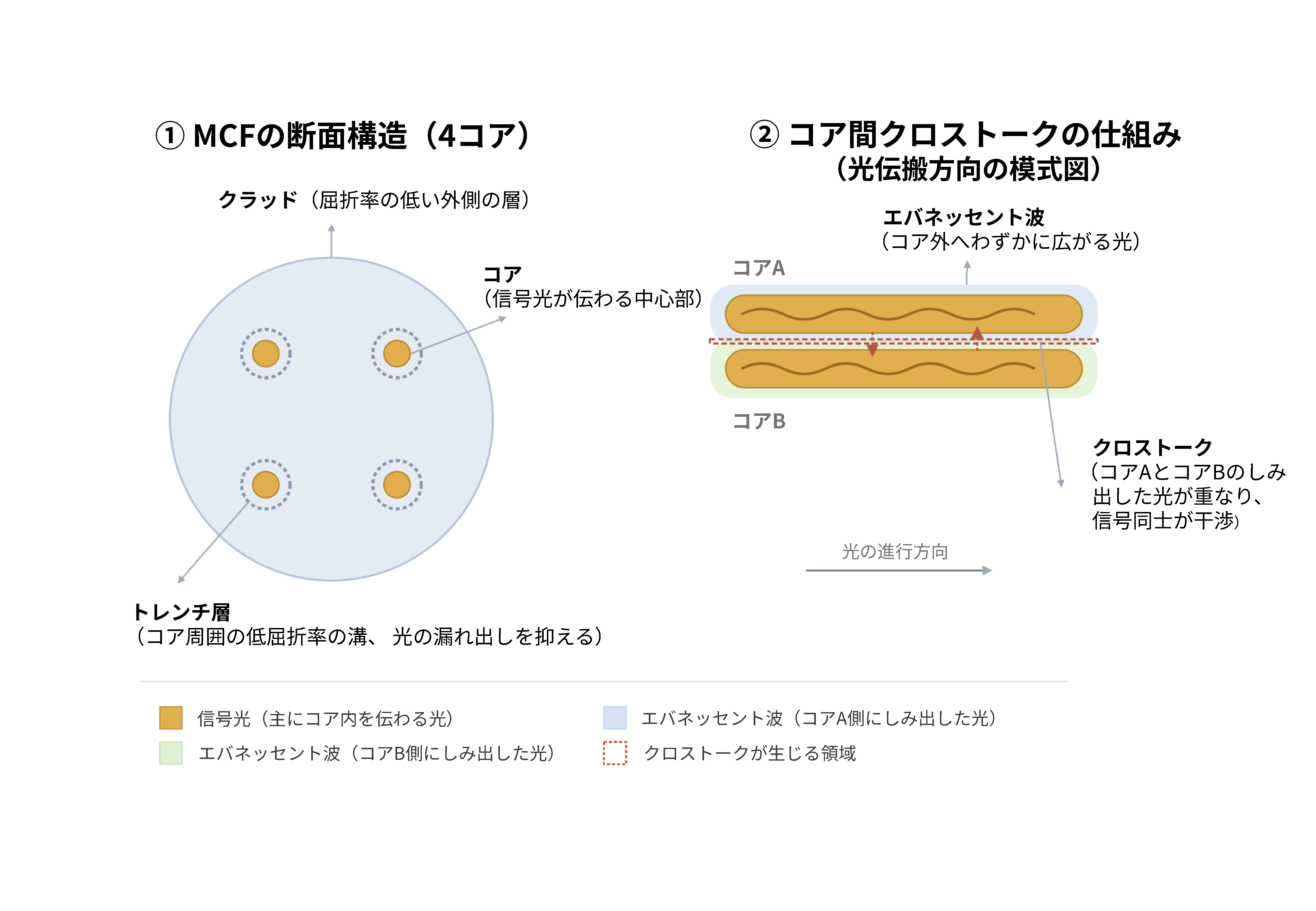 次世代の大容量光通信を支えるマルチコアファイバとは？ | 次世代光